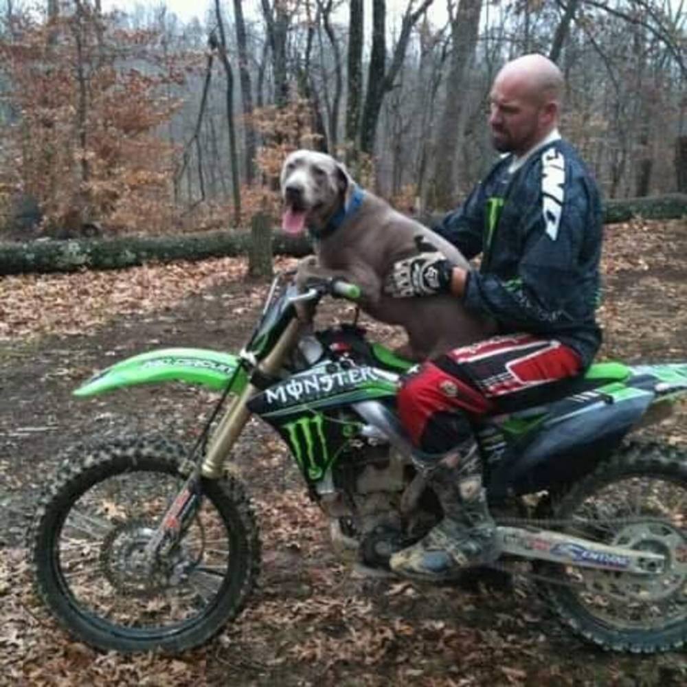 Meet your Posher, Whitney